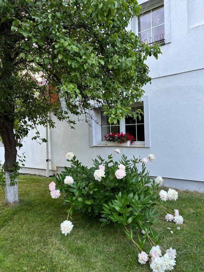 Apartamenty Stokrotka Lądek-Zdrój 外观 照片